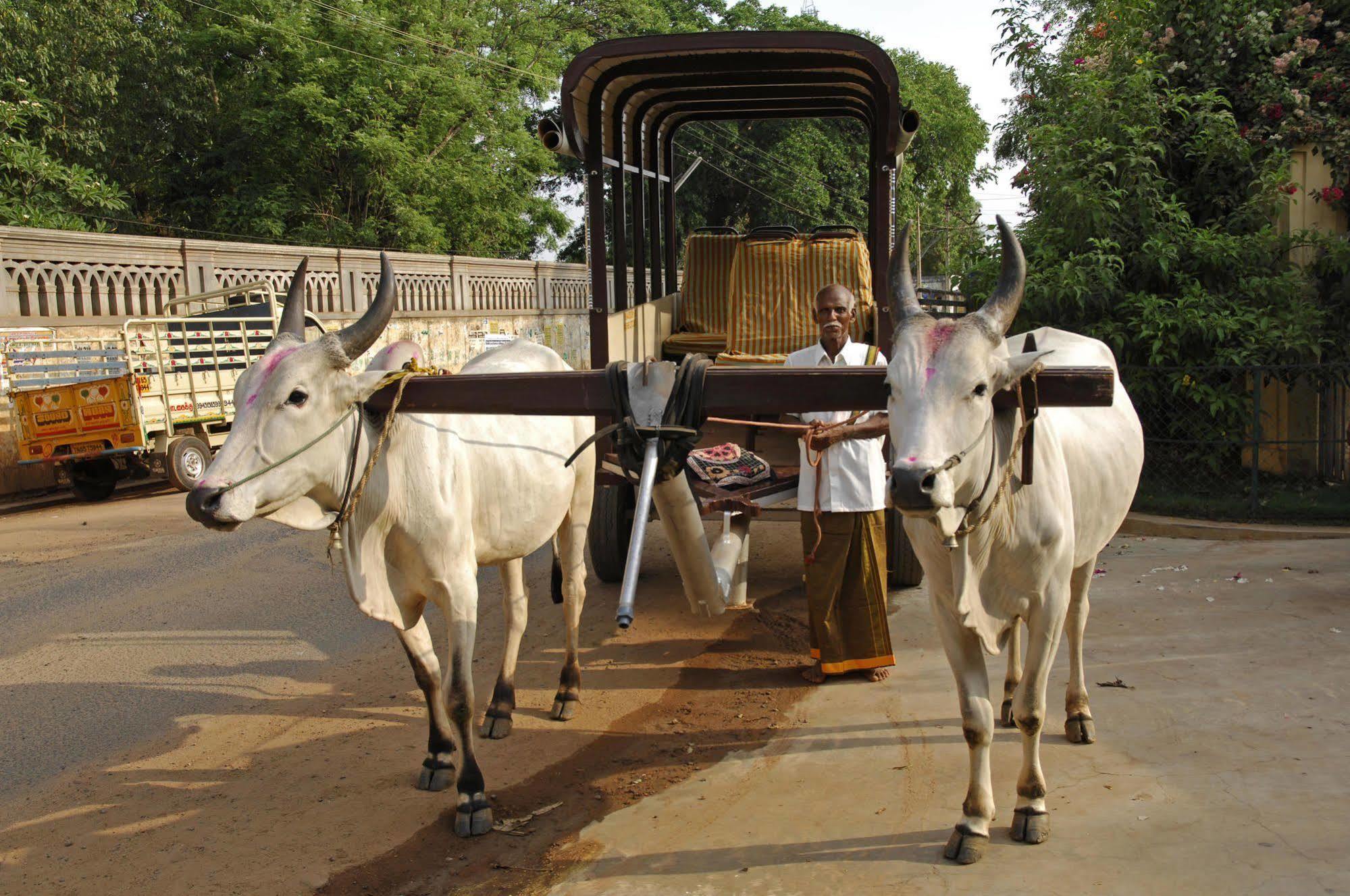 Visalam Chettinad Palace - A Cgh Earth Experience Kānādukāttān Εξωτερικό φωτογραφία